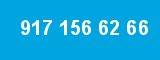 917 156 62 66